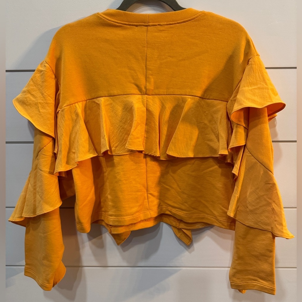 NWOT Zara Cropped Ruffle Sleeve Top
Size Medium - Picture 3 of 7